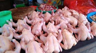 Konsumsi Ayam Meningkat Bulan Ramadan, DPKH Imbau Jaga Kebersihan